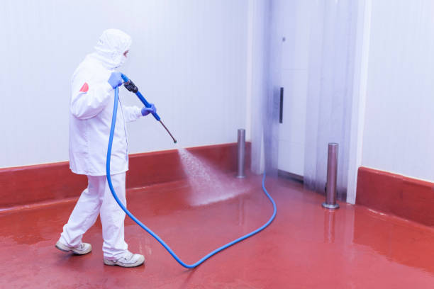 Best Dumpster Area Cleaning  in Mpo, CA