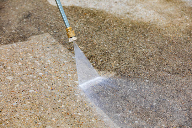 Animal Enclosure Cleaning in Campo, CA